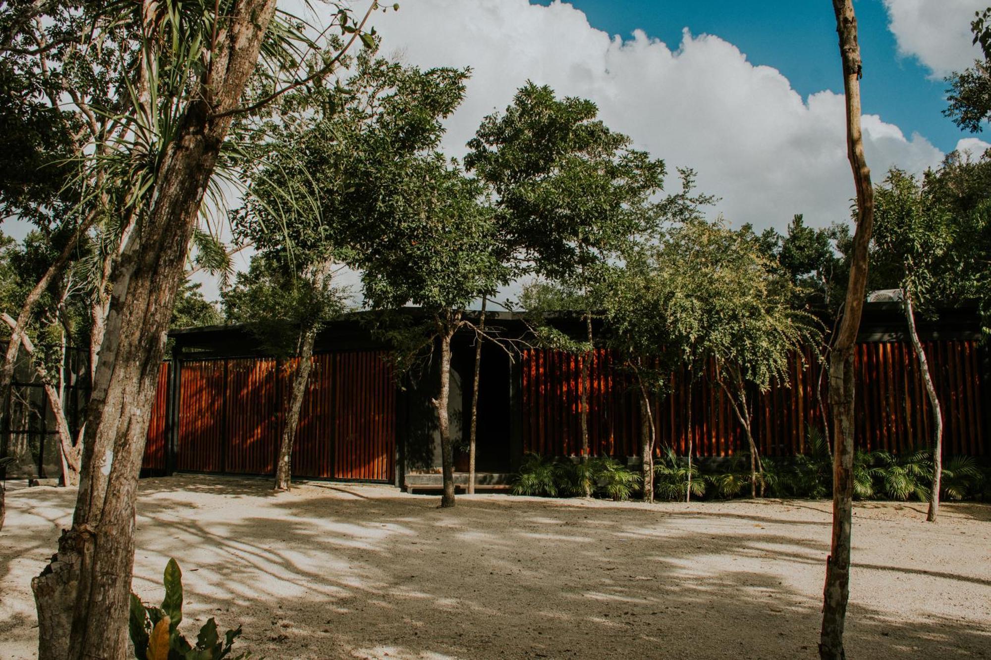 K Naj Community Cenote Residence Balcheil Εξωτερικό φωτογραφία